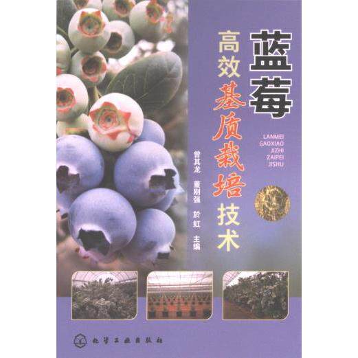 蓝莓高效基质栽培技术 曾其龙, 董刚强, 於虹主编 9787122444592