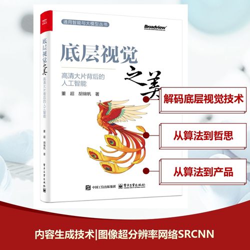 底层视觉之美 董超, 胡锦帆著 9787121494659