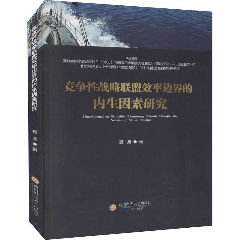 竞争性战略联盟效率边界的内生因素研究 聂鹰著 9787550452343