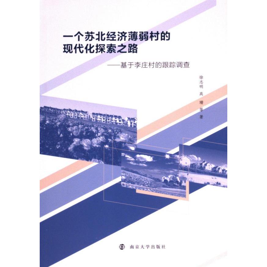 一个苏北经济薄弱村的现代化探索之路 徐志明, 高珊等著 9787305276934