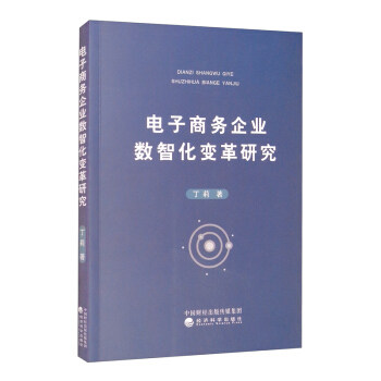 电子商务企业数智化变革研究丁莉著经济科学出版社9787521828153