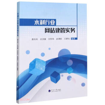 水利行业网站建管实务 :唐肖岗,史滨媛,刘恒伟,赵满胜,王娇怡 编 9787563066025 河海出版社