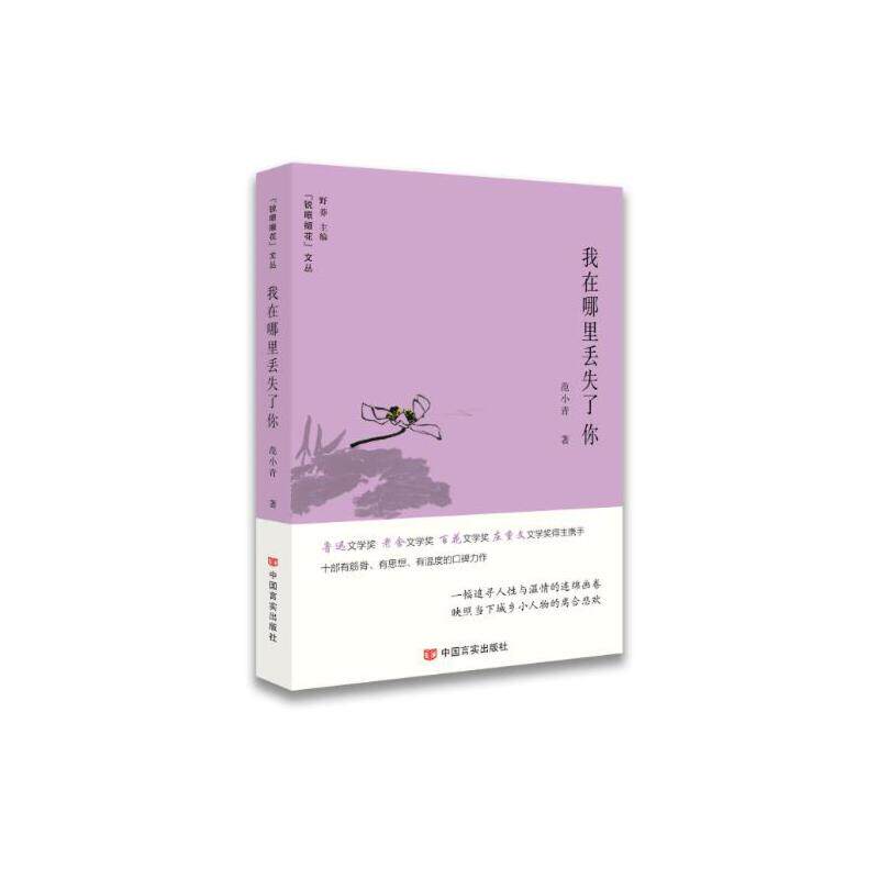 我在哪里丢失了你 范小青著 9787517132035