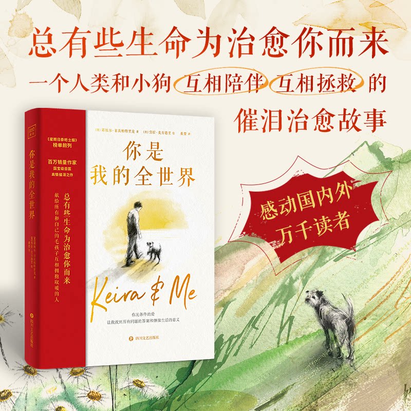 你是我的全世界(英) 诺埃尔·菲茨帕特里克著四川文艺出版社9787541170706