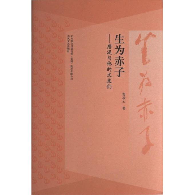 生为赤子曹凌云著春风文艺出版社9787531363583