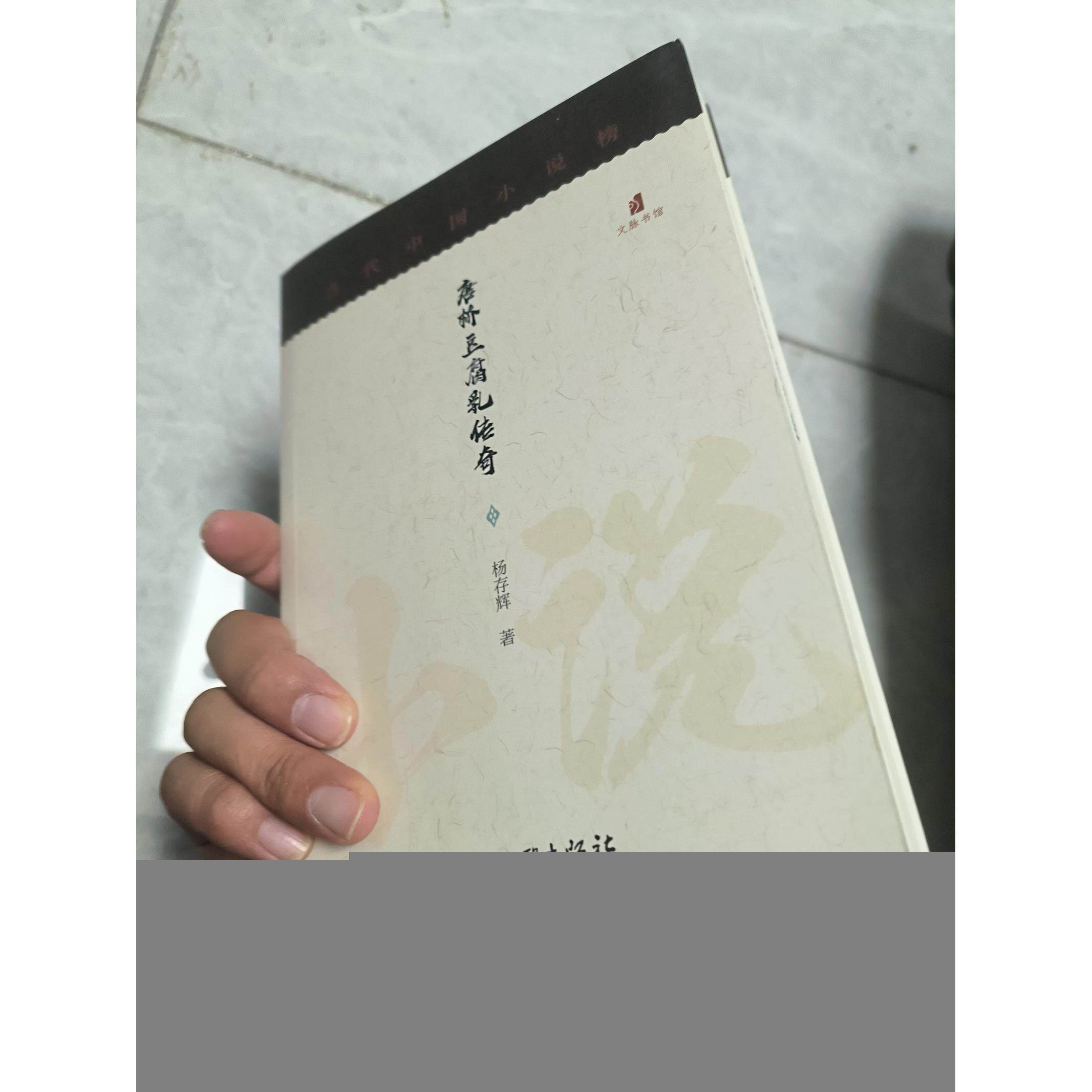 当代中国小说榜&mdash;&mdash;唐桥豆腐乳传奇 作者 9787519039790