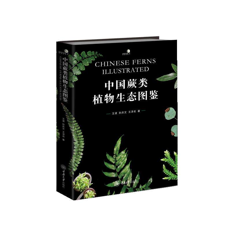 中国蕨类植物生态图鉴 王波, 孙庆文, 王泽欢著 9787568941105