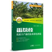 9787535984906 魏岳荣主编 番荔枝优质丰产栽培技术彩色图说 邝瑞彬