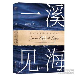 一溪见海 雲雪铭著 9787559649614