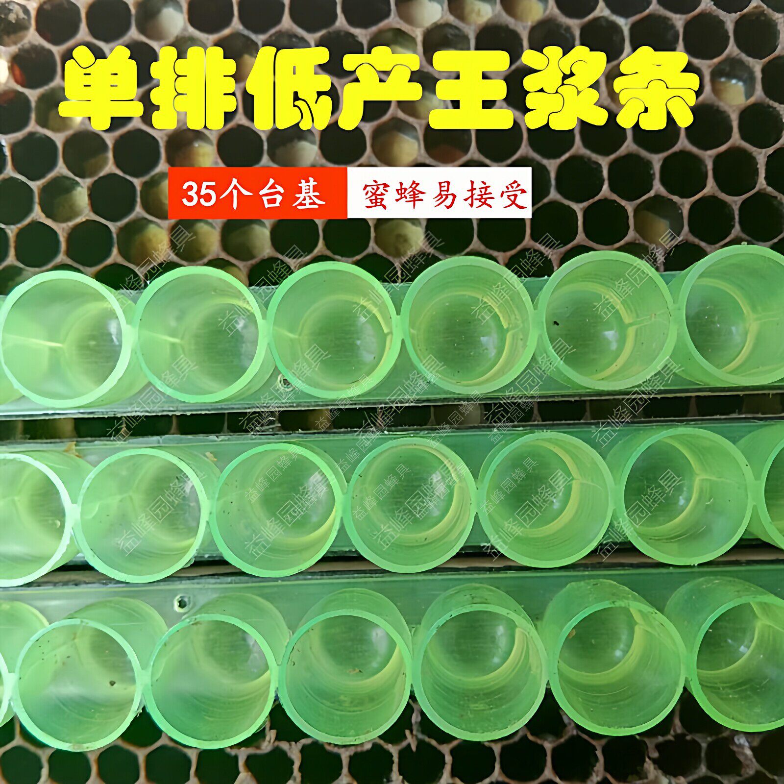 中蜂育王条低产王浆条35孔单排取浆条蜜蜂王台基王浆育王25条