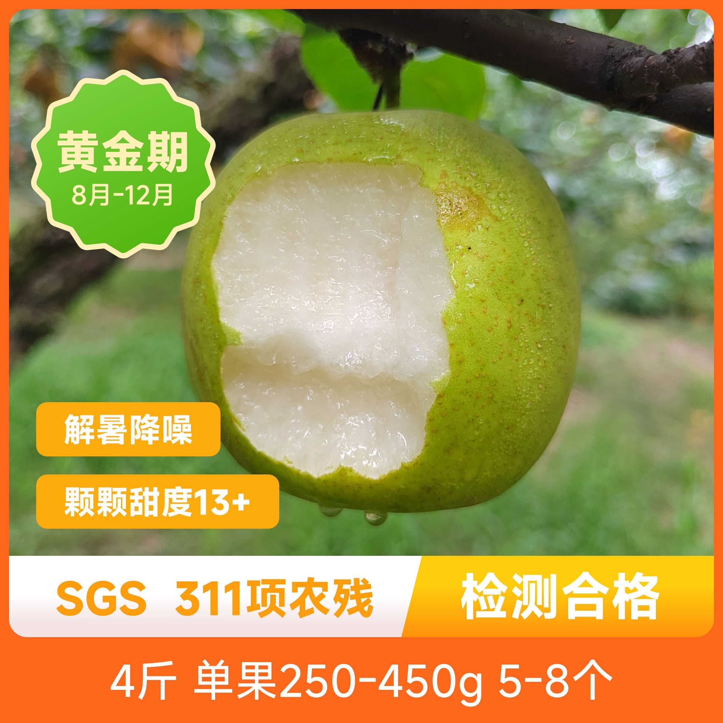 辰颐物语新鲜丹霞酥梨  砀山翠玉丑梨 现摘应季水果青皮梨
