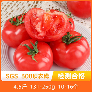 辰颐物语新鲜爱琴海番茄4.5斤现摘现发西红柿自然熟