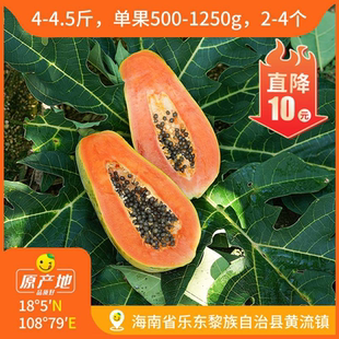 辰颐物语新鲜海南红心木瓜4斤现摘牛奶冰糖心红肉木孕妇水果
