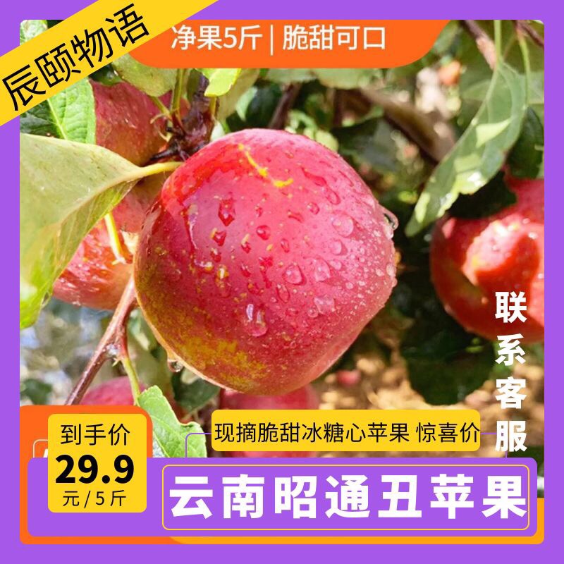 辰颐物语新鲜云南昭通丑苹果当季现摘冰糖心苹果脆甜水果