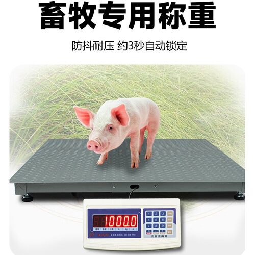 地磅称1-3吨称牛羊猪带围栏工厂物流2吨地磅秤5吨磅秤小型
