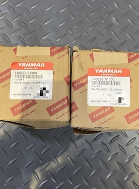 YANMAR 洋马出油阀 146623-51300