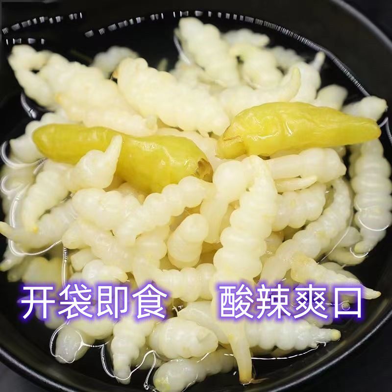螺丝菜玉螺菜宝塔菜地环甘露子草石蚕地牯牛葫芦农家蔬菜酱泡菜