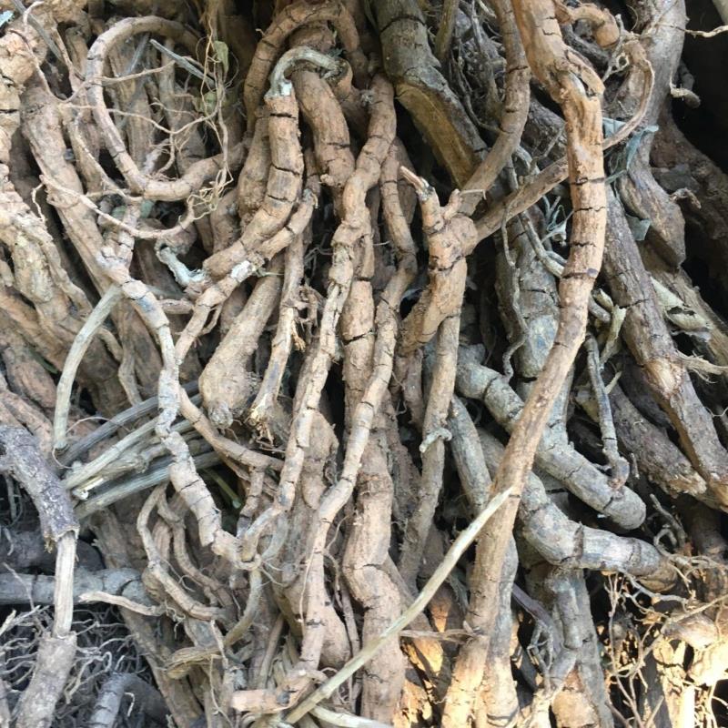 黑老虎根500g广西野生钻骨风过山风风沙藤冷饭团钻山