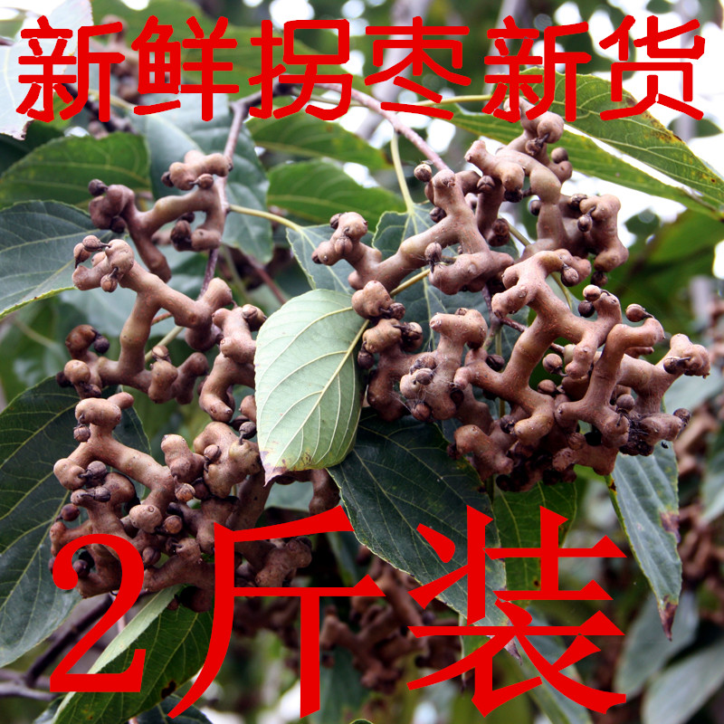 新鲜拐枣野生拐枣枳椇子泡酒拐枣水果鸡爪梨万寿果500克包邮