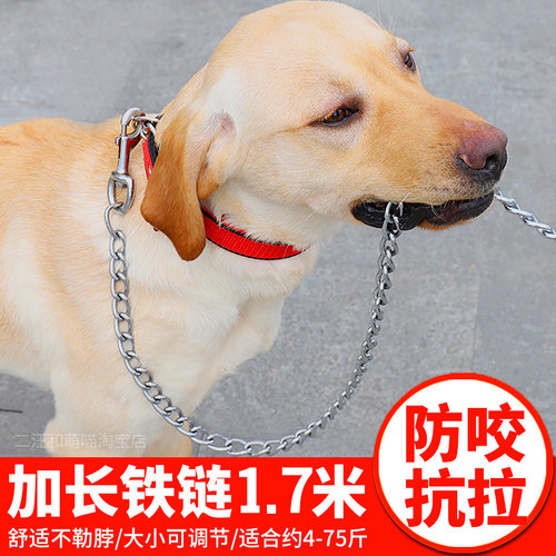 防咬断金毛遛狗绳大型项圈铁链