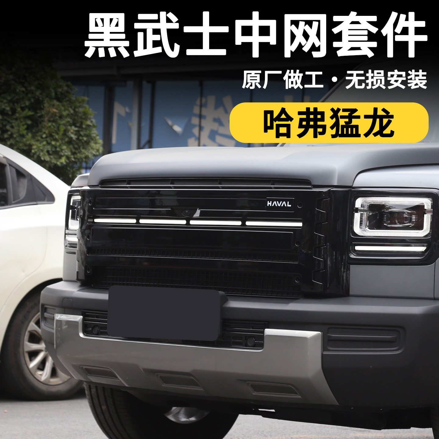 【4S推荐】猛龙卫士款中网