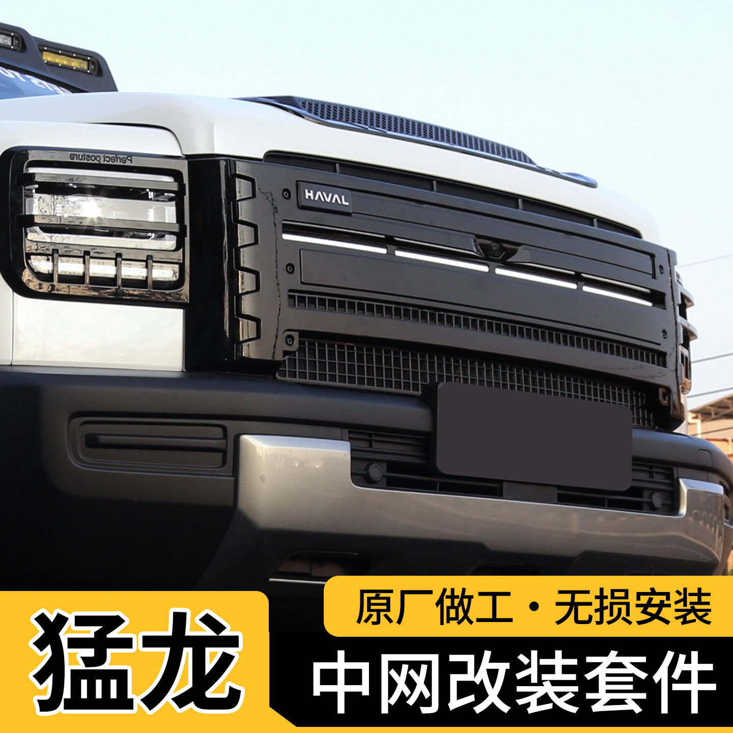 【4S推荐】猛龙原厂中网改装套件