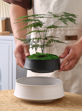 简约陶瓷花盆日式亚光白色皮革釉面盆景水仙插花苔藓球植物花卉