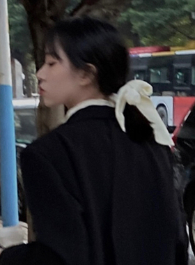Busa」韩国ins仙女森系飘带绒面蝴蝶结头绳发圈简约气质扎发皮筋