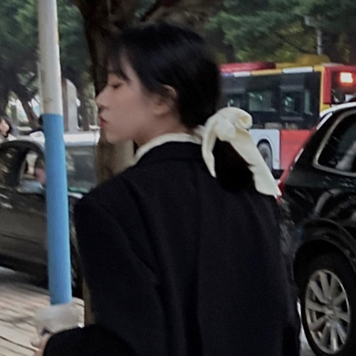 ins仙女森系飘带绒面扎发皮筋