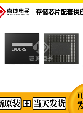 H58G46AK6PX033N海力士全新原装2GB LPDDR5 封装FBGA315