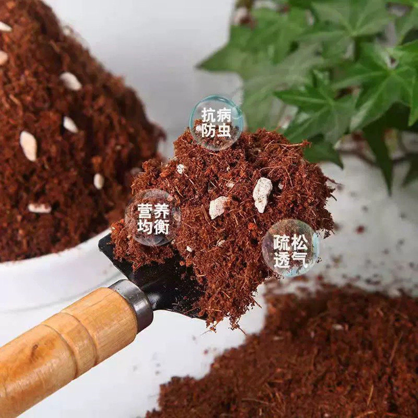 草莓种植土种菜养花专用土图片