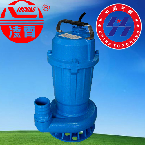 WQ10-10-0.75广东凌霄污水提升泵潜污泵无堵塞潜水泵2寸