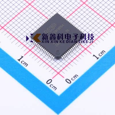 LPC2132/2109/2136/2194/2138/2119/2134/2129FBD64/01 2148 原装