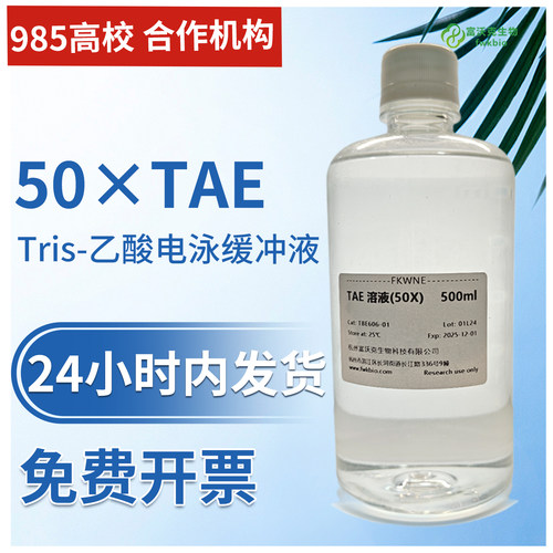 50×TAETris乙酸电泳缓冲液