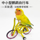 鹦鹉玩具自行车训鸟用品用具道具牡丹玄凤训练益智互动玩具单车