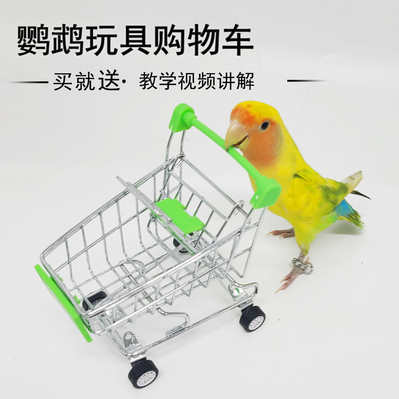 鹦鹉益智训练表演用品用具虎皮牡丹玄凤和尚玩具推车迷你购物车