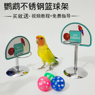 鹦鹉玩具篮球架益智训练表演道具玄凤虎皮牡丹篮球不锈钢训鸟用品