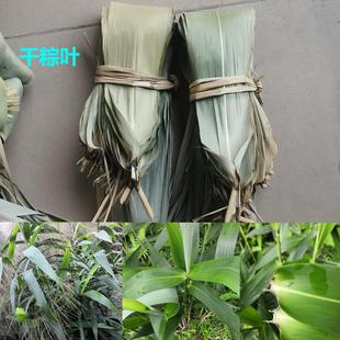 广西野生干粽叶精选箬竹叶三角粽节日糯米粽商用天然大粽子叶天然