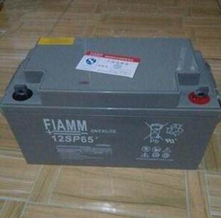 FIAMM非凡 12FLB200 12V200AH UPS专用电力设施蓄电池调整