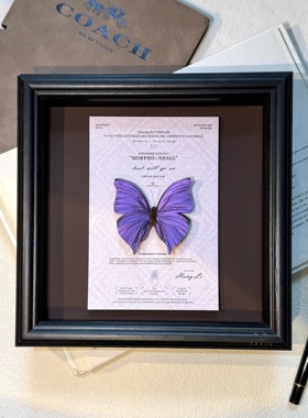 创意紫色闪蝶平替真蝴蝶手工标本立体摆件装饰画女生礼物生日礼物