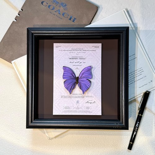 创意紫色闪蝶平替真蝴蝶手工标本立体摆件装饰画女生礼物生日礼物