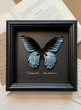 蓝裙美闪蝶平替蝴蝶标本装饰画成品相框手工家居桌面摆件生日礼物
