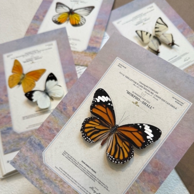 虎斑蝶真蝴蝶标本相框摆件成品高级法式装饰画创意生日礼物送女友