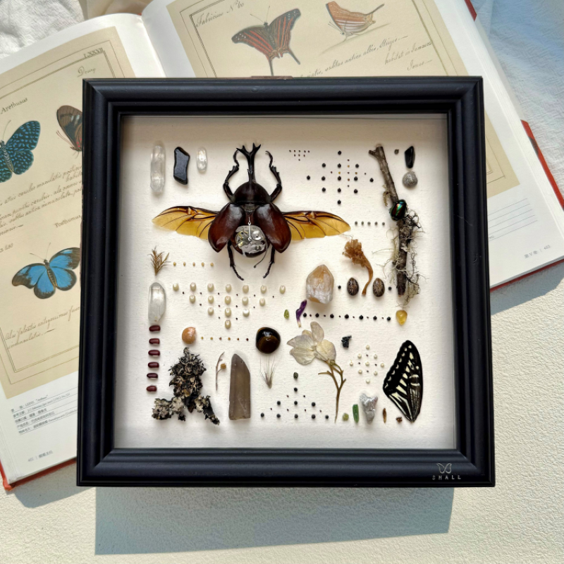 山意SHALL机械独角仙真甲虫标本相框朋克创意摆件生日礼物送男友,家居饰品,标本类装饰画,淘宝优惠券,粉丝福利购,淘宝优惠卷