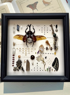 山意SHALL机械独角仙真甲虫标本相框朋克创意摆件生日礼物送男友