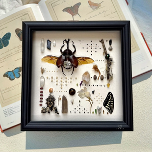 山意SHALL机械独角仙真甲虫标本相框朋克创意摆件生日礼物送男友