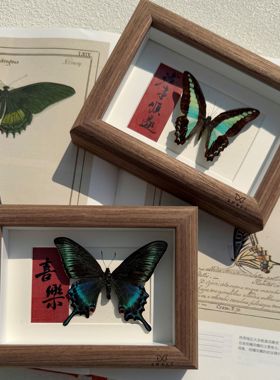 山意SHALL国风书法新中式真蝴蝶标本相框小众DIY摆件生日礼物装饰