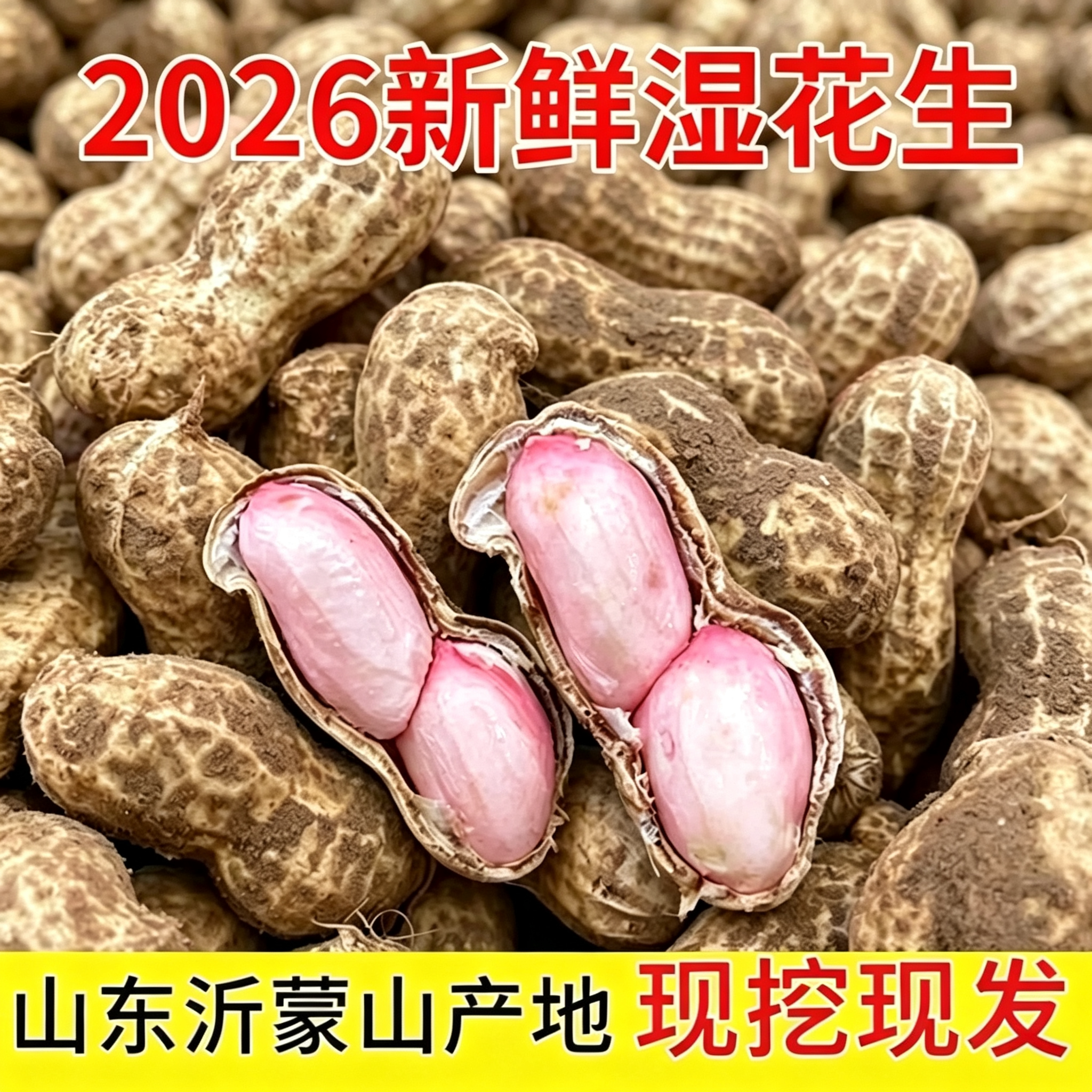 山东新鲜花生湿花生带壳人工精选