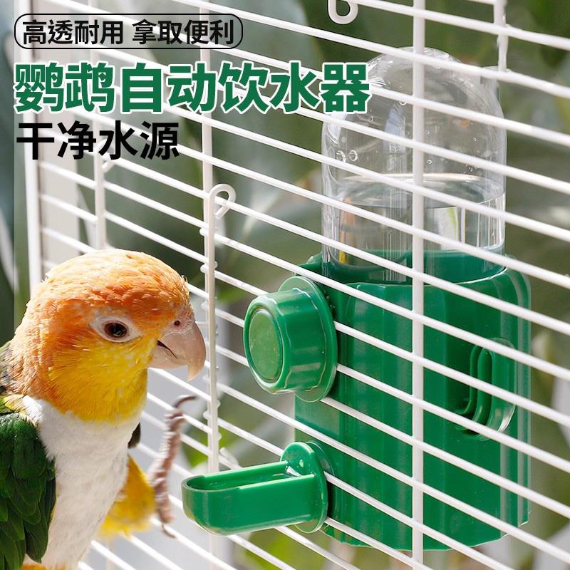 鹦鹉小鸟饮水器自动喂水撞针水壶鸟用悬挂喂 ??食器防溅喝水器喂