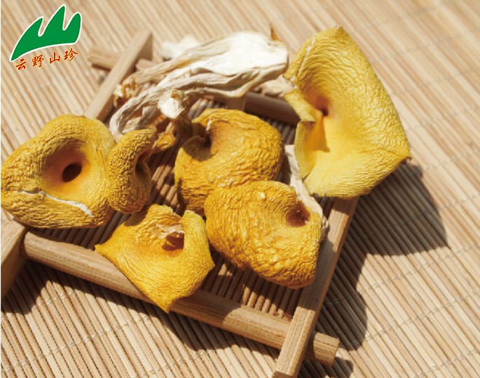 云野山珍鸡油菌云南特产鸡油黄菌香菇类食用菌蘑菇50g全店4份起卖